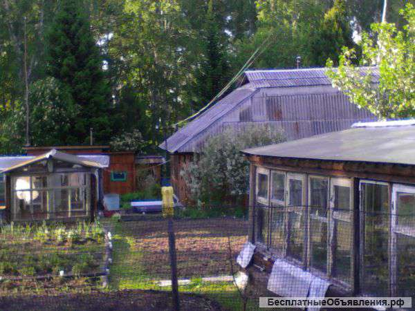 Классную дачу