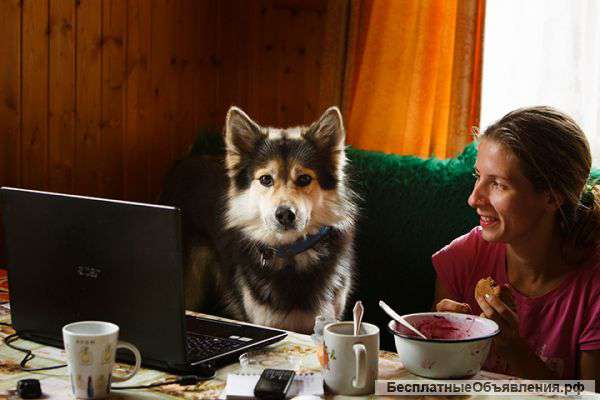 Зоогостиница, передержка собак и кошек на любой срок