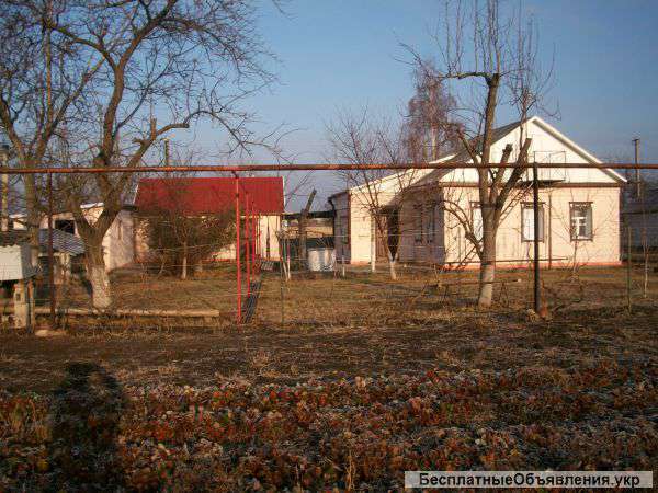 Дом в пос.петриковка