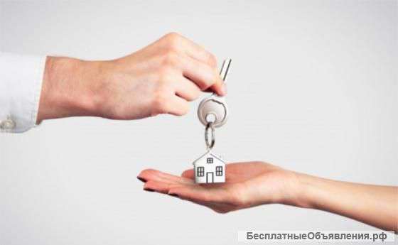 Квартира молокова дом 27