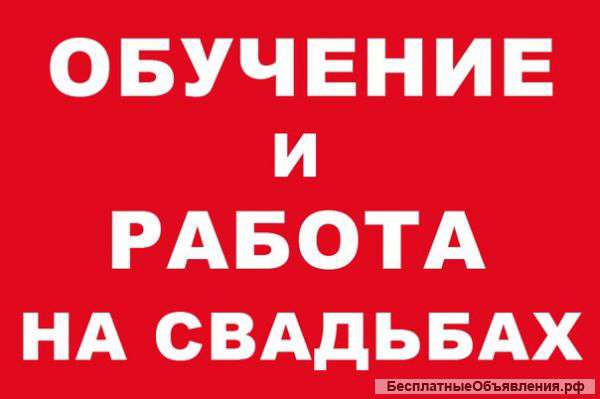 Обучение и работа на свадьбах Москвы
