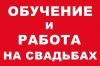 Обучение и работа на свадьбах Москвы