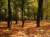Сдаю 2-х комнатную квартиру посуточно