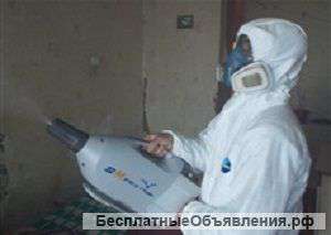 Уничтожение клопов