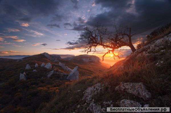 Новогодний тур в Крыму 2015