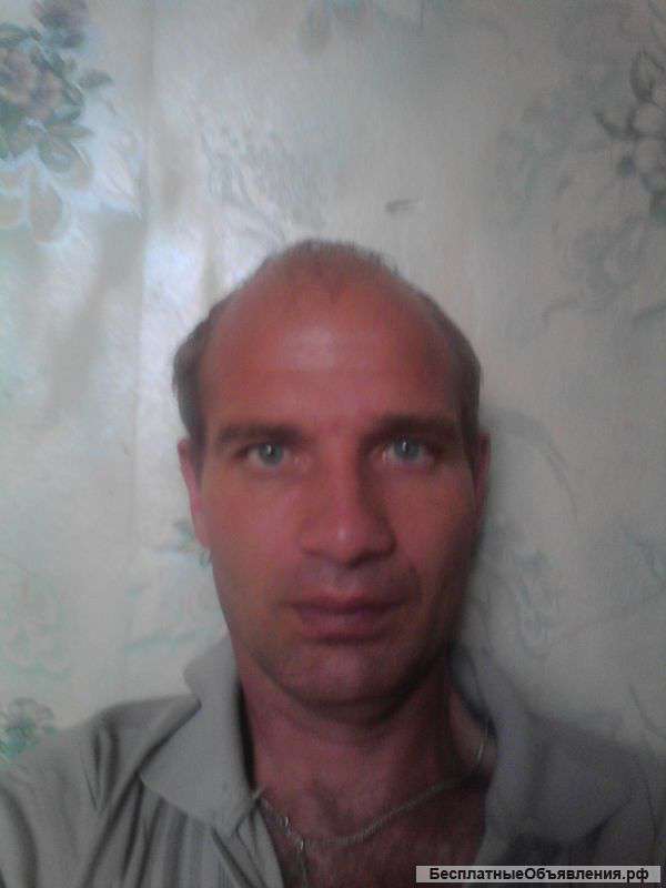 Поиск