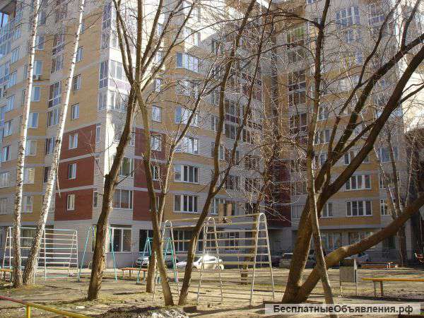 Сдам в аренду