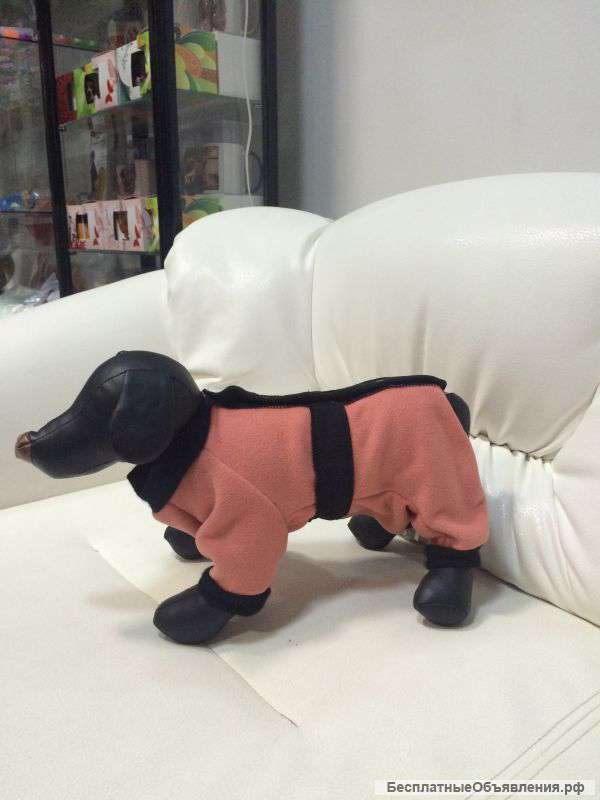 Ателье для собак