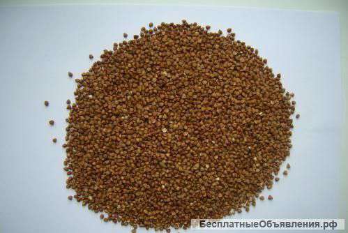 Гречку гост