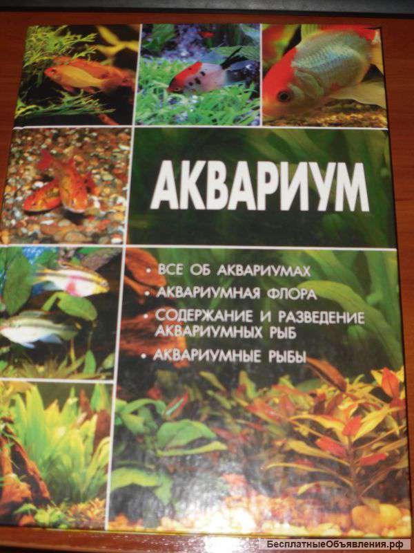 Книга "Аквариум"