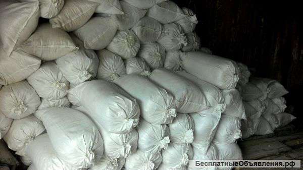 Опилки хвойных пород