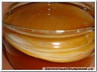 Чайный гриб - комбуча