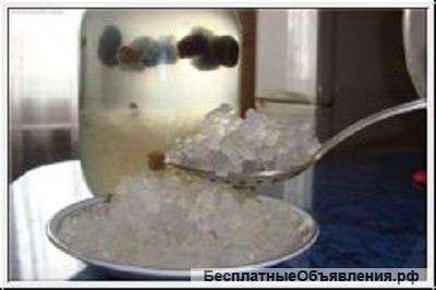 Индийский морской рис