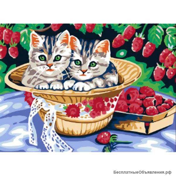 Раскраски по номерам. Котята в саду. 30*40 см