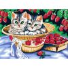 Раскраски по номерам. Котята в саду. 30*40 см