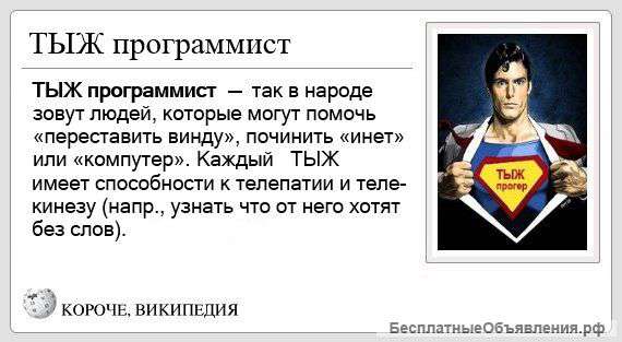 Тыж программист (Компьютерный мастер)