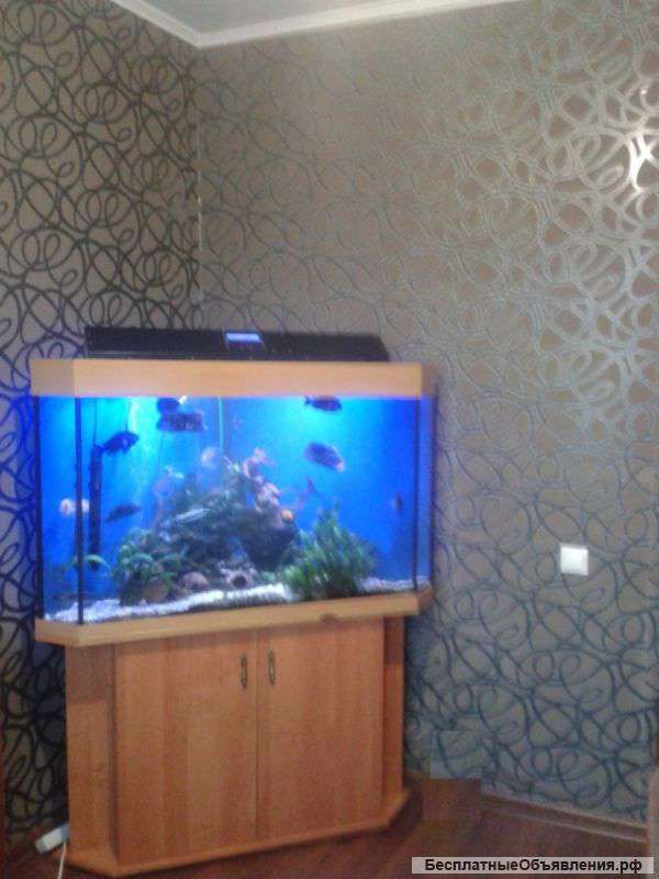 3-х комн квартиру