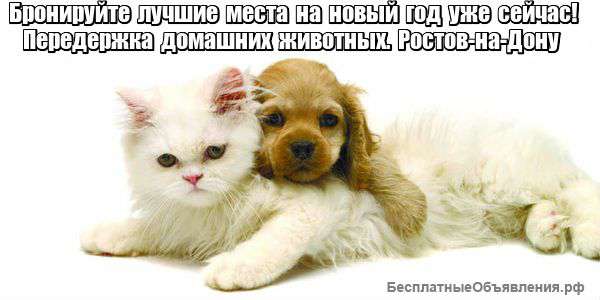 Передержка домашнихживотных