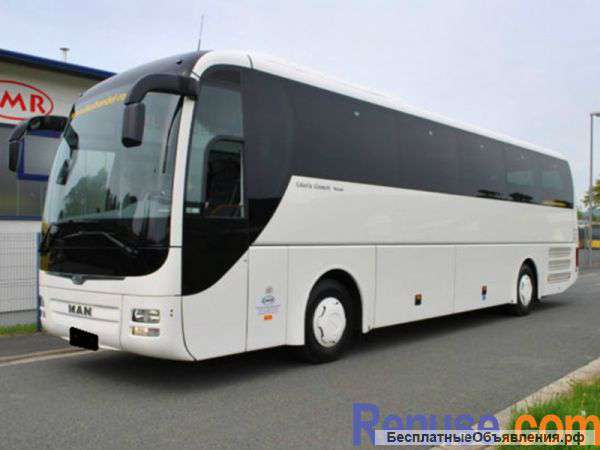 MaN Lion's Regio 59