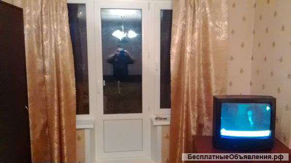 Сдаю в аренду