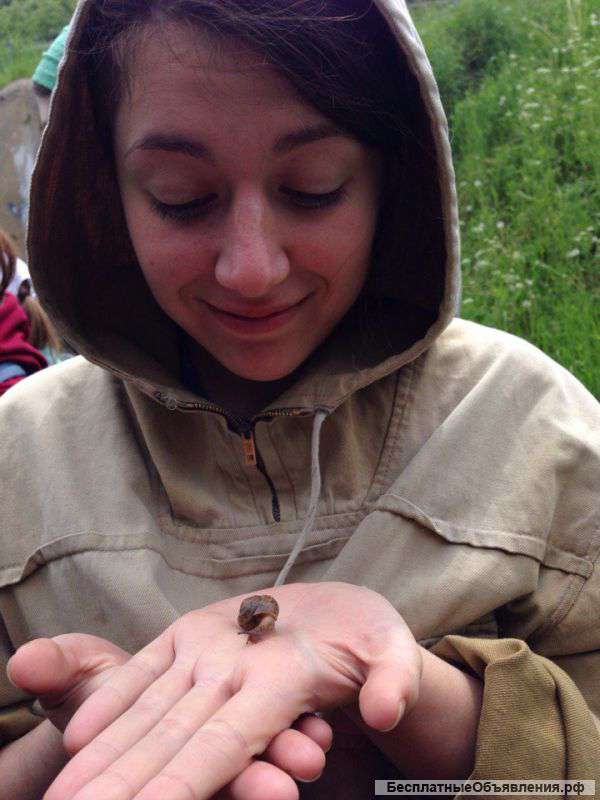 Репетитор по Биологии