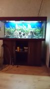 Аквариум: Объем 300 литров, на тумбе
