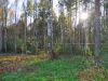 Участок 20 соток