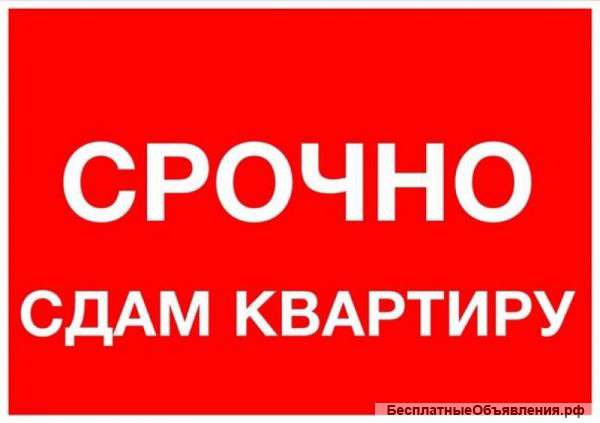 Сдам 2х ком квартиру 46 кв Курчатова 13