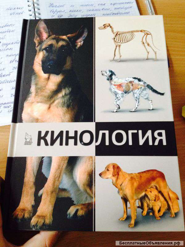 Услуги дрессировщика собак