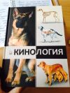 Услуги дрессировщика собак