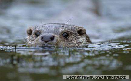 Бурение скважин