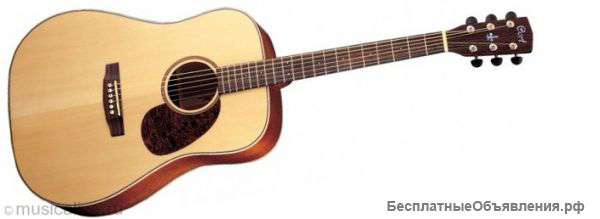 Акустическая гитара Cort EARTH 100R NAT, и Электрогитара Washburn WR121 Red