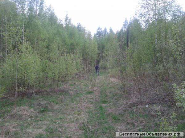 Участок 9.8 га