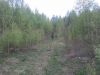 Участок 9.8 га