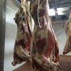 Мясо говядины высокого качества