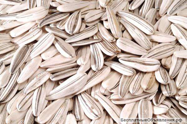 Белые Семечки Лала Трейд