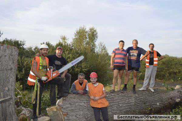 Устранение аварийных деревьев