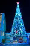 Уличные искусственные ели с оформлением