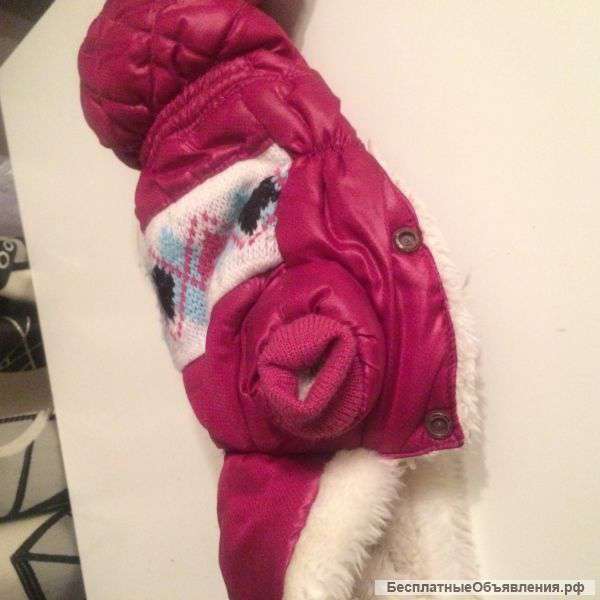 Зимний комбинезон для собачки