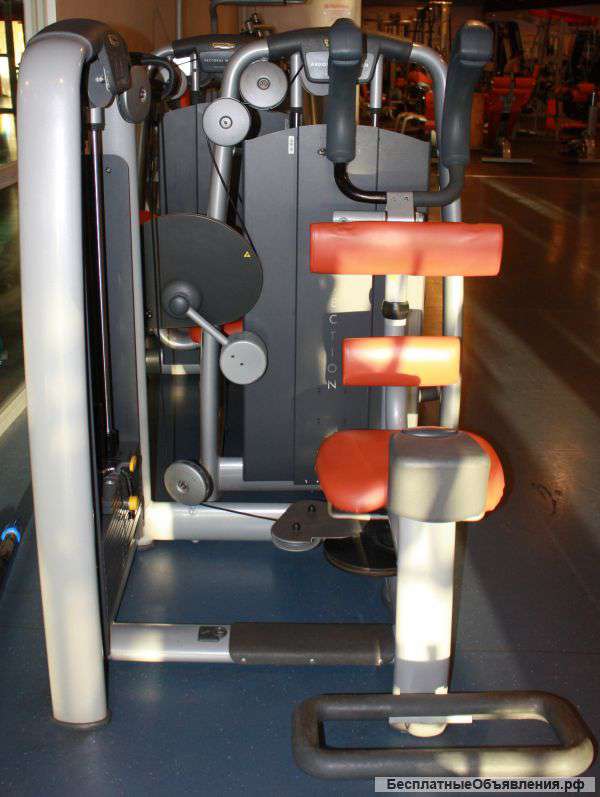 Rotary Torso Rotary Calf Arm Curl Arm Extension