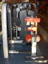 Rotary Torso Rotary Calf Arm Curl Arm Extension