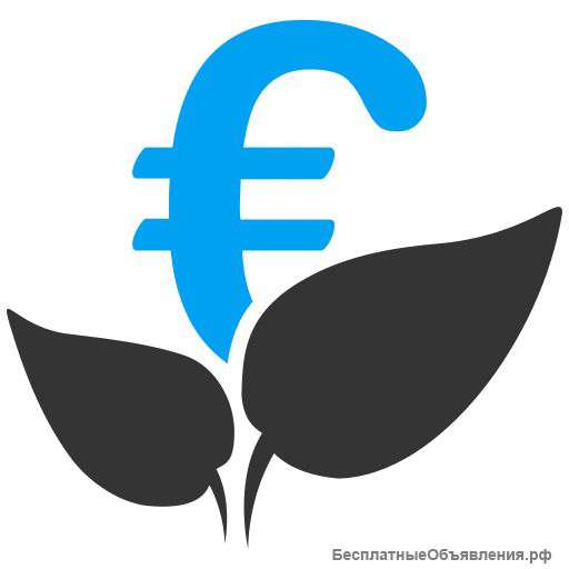 Регистрация ООО или ИП