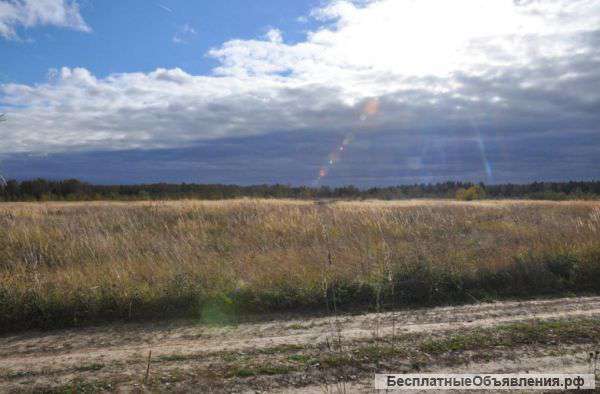 Земля С/х назначения в Калужской обл