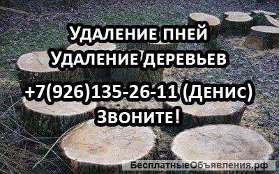 Удаление пней и деревьев, работают профессионалы