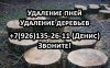 Удаление пней и деревьев, работают профессионалы