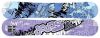Сноуборд BlackFire Scoop 10-11