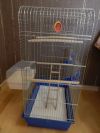Клетку для средних и мелких птиц