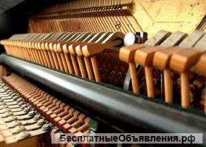Настройка фортепиано (пианино)