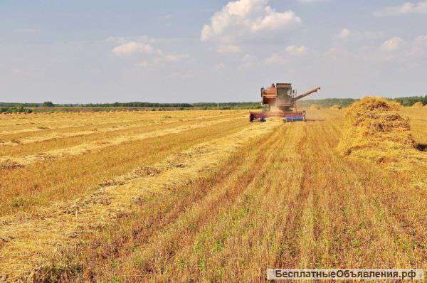 Ищу инвестора