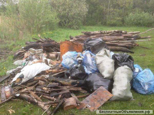 Уборка участка, Побелка деревьев